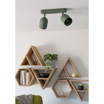 Eglo verlichting TILSTON Plafondlamp, Plafondspot Groen, 2-lichts