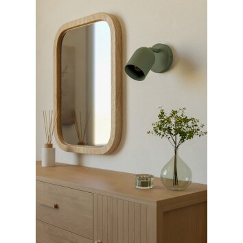 Eglo verlichting TILSTON Plafondspot, Wandlamp Groen, 1-licht