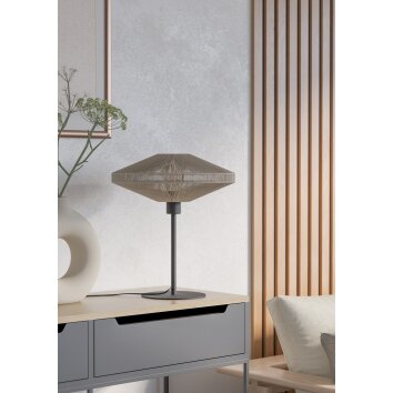 Eglo verlichting MIDSUMER Tafellamp Zwart, 1-licht