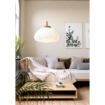 Eglo verlichting SUMMERHILL Hanglamp Bruin, Wit, 1-licht