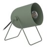 Eglo verlichting TILSTON Tafellamp Groen, 1-licht
