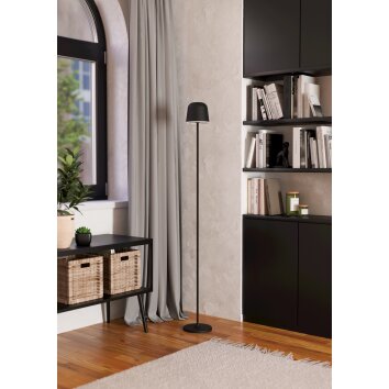 Eglo verlichting MANNERA-L Staande lamp LED Zwart, 1-licht, Afstandsbediening, Kleurwisselaar