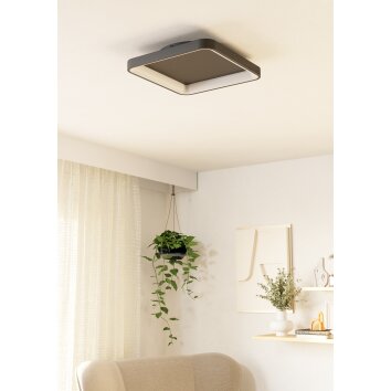 Eglo verlichting LORETELLO Plafondlamp, Wand- en plafondlamp LED Zwart, Afstandsbediening