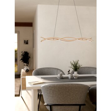Eglo verlichting EGLO Hanglamp LED lichtbruin