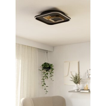 Eglo verlichting TIRIOLO Plafondlamp, Wand- en plafondlamp LED Goud, Zwart