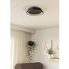 Eglo verlichting LORETELLO Plafondlamp, Wand- en plafondlamp LED Zwart, Afstandsbediening
