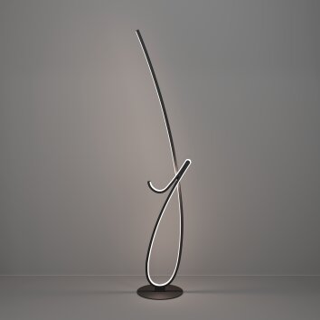 Eglo verlichting CARDONCITO Staande lamp LED Zwart, Kleurwisselaar