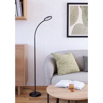 Eglo verlichting LAURO Staande lamp LED Zwart