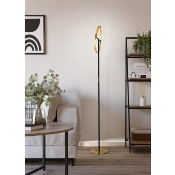 Eglo verlichting CASTELPOTO Staande lamp LED Messing, Zwart