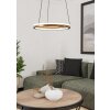 Eglo verlichting MEZZOMONTE Hanglamp LED Brons, Zwart, Afstandsbediening