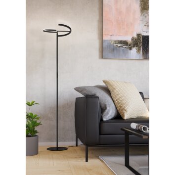 Eglo verlichting CASTELPOTO Staande lamp LED Zwart