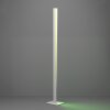 Eglo verlichting BOLOGNANO-Z Staande lamp LED Grijs, Kleurwisselaar