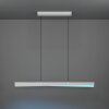 Eglo verlichting BOLOGNANO-Z Hanglamp LED Grijs, Kleurwisselaar