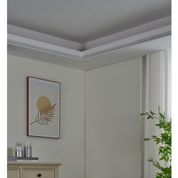 Eglo verlichting NEON-STRIPE-Z LED-strip LED Wit, Kleurwisselaar