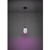 Eglo verlichting MOLOCHIO-Z Hanglamp LED Zwart, Kleurwisselaar