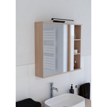 Eglo verlichting REGELLO-Z Spiegellicht LED Zwart, Kleurwisselaar