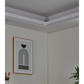 Eglo verlichting NEON-STRIPE-Z LED-strip LED Wit, Kleurwisselaar