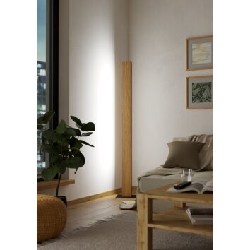 Eglo verlichting ANCHORENA-Z Staande lamp LED Bruin, Zwart, Kleurwisselaar