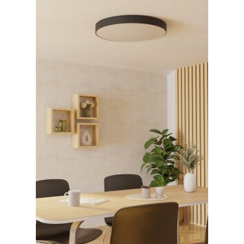 Eglo verlichting GALLIZZI-Z Plafondlamp LED Zwart, Kleurwisselaar