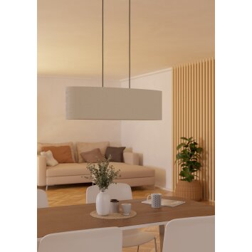 Eglo verlichting FEBRES Hanglamp Zwart