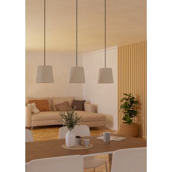 Eglo verlichting FEBRES Hanglamp Zwart
