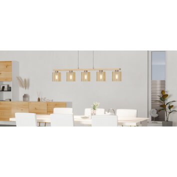 Eglo verlichting CASTRALVO Hanglamp Bruin, Nikkel mat