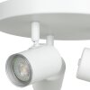 Eglo verlichting EGLO Plafondlamp, Plafondspot Wit