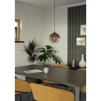 Eglo verlichting EGLO Hanglamp Zwart