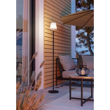 Eglo verlichting MONTAPALMA-L Staande lamp LED Zwart, Afstandsbediening, Kleurwisselaar