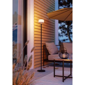 Eglo verlichting MONTAPALMA-L Staande lamp LED Zwart, Afstandsbediening, Kleurwisselaar