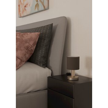 Eglo verlichting MONTETTO Tafellamp Nikkel mat