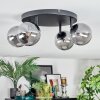 Chehalis Plafondlamp, Kogellampje Rookkleurig, 4-lichts