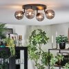 Chehalis Plafondlamp, Kogellampje Rookkleurig, 4-lichts