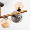 Chehalis Plafondlamp, Kogellampje Goud, Zwart, 8-lichts