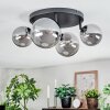Chehalis Plafondlamp, Kogellampje Rookkleurig, 4-lichts