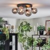 Chehalis Plafondlamp, Kogellampje Rookkleurig, 4-lichts