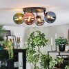 Chehalis Plafondlamp, Kogellampje Blauw, Chroom, Groen, Koperkleurig, Rookkleurig, 4-lichts