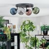 Chehalis Plafondlamp, Kogellampje Blauw, Groen, Koperkleurig, Rookkleurig, 4-lichts