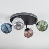 Chehalis Plafondlamp, Kogellampje Blauw, Groen, Koperkleurig, Rookkleurig, 4-lichts