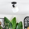 Bassagoda Plafondlamp, Plafondspot Zwart, 1-licht