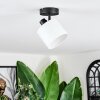 Bassagoda Plafondlamp, Plafondspot Zwart, 1-licht