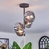 Chehalis Plafondlamp, Kogellampje 33 cm Duidelijk, Rookkleurig, 4-lichts