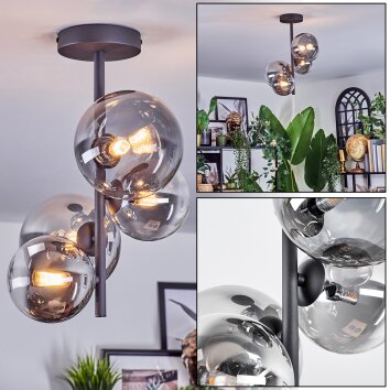Chehalis Plafondlamp, Kogellampje 33 cm Duidelijk, Rookkleurig, 4-lichts