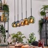 Ripoll Hanglamp, Kogellampje, Hanglamp Natuurlijke kleuren, Zwart, 5-lichts