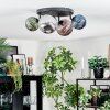 Chehalis Plafondlamp, Kogellampje Blauw, Groen, Koperkleurig, Rookkleurig, 4-lichts