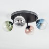 Chehalis Plafondlamp, Kogellampje Blauw, Chroom, Groen, Duidelijk, Koperkleurig, Rookkleurig, 4-lichts