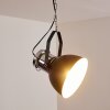 Alamosa Hanger Chroom, Zwart, 1-licht