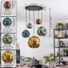 Ripoll Hanglamp, Kogellampje, Hanglamp Goud, Zwart, 5-lichts
