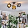 Koyoto Plafondlamp, Kogellampje Goud, Zwart, 3-lichts