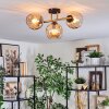 Koyoto Plafondlamp, Kogellampje Goud, Zwart, 3-lichts